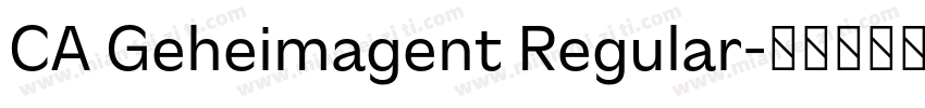 CA Geheimagent Regular字体转换